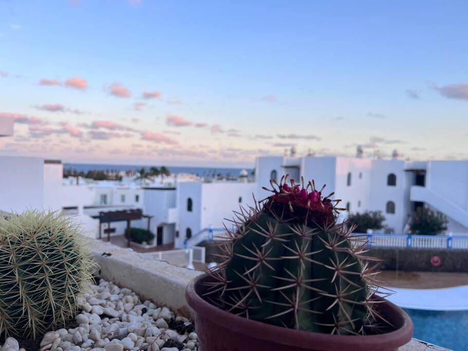 קוסטה טגוויסה Apt 360º Panoramic View מראה חיצוני תמונה